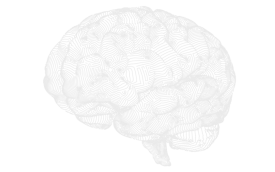 Por que funciona PAS Cerebro Psicologia AutoSustentable Por que funciona PAS Cerebro Psicologia AutoSustentable
