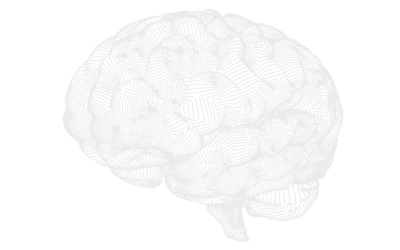 Por que funciona PAS Cerebro Psicologia AutoSustentable Por que funciona PAS Cerebro Psicologia AutoSustentable
